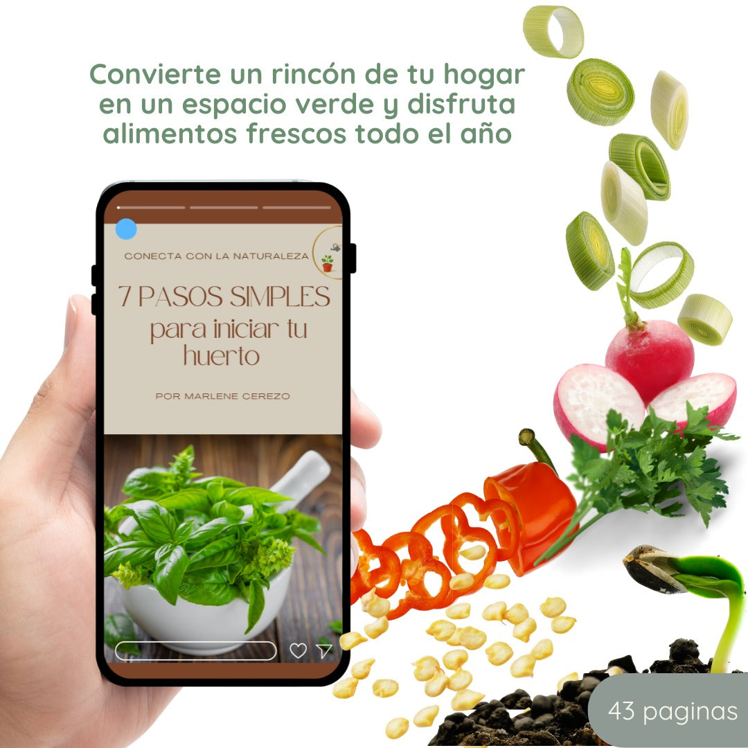7 Pasos Simples para Iniciar tu Huerto
