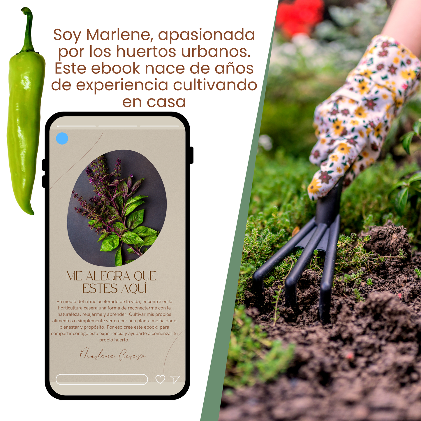 7 Pasos Simples para Iniciar tu Huerto