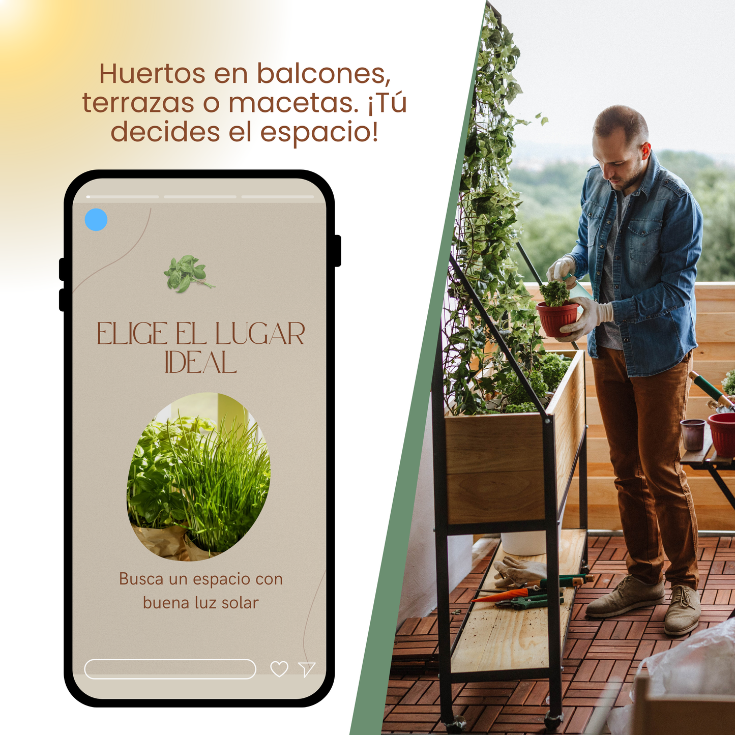 7 Pasos Simples para Iniciar tu Huerto