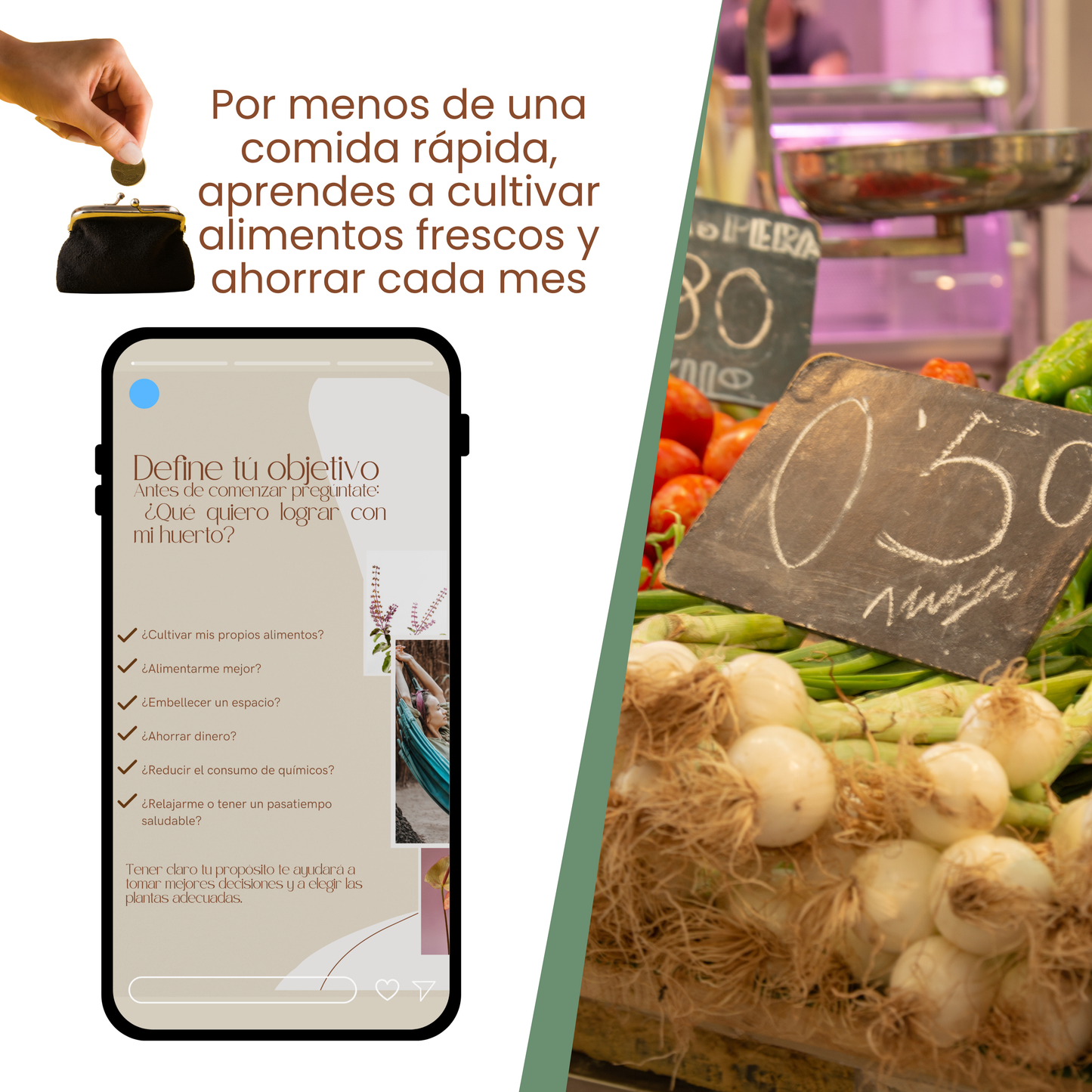 7 Pasos Simples para Iniciar tu Huerto
