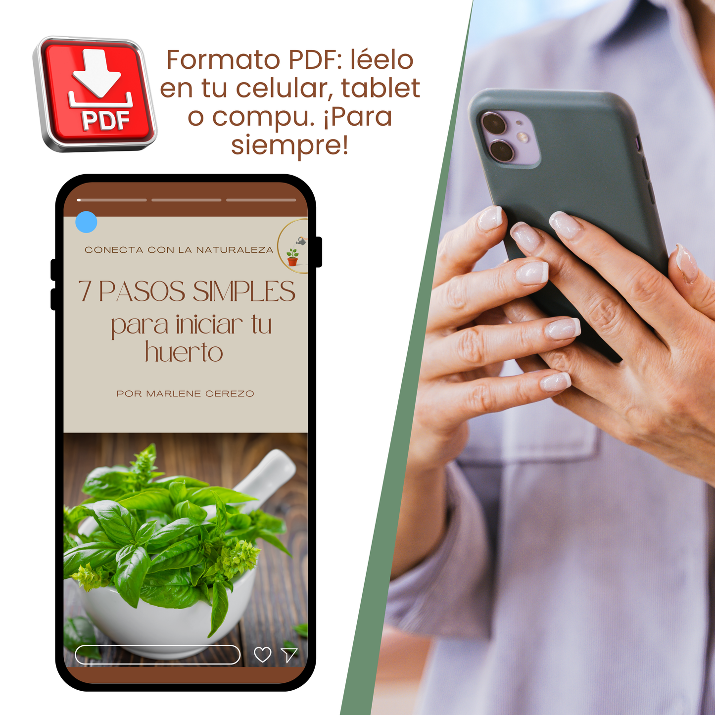 7 Pasos Simples para Iniciar tu Huerto